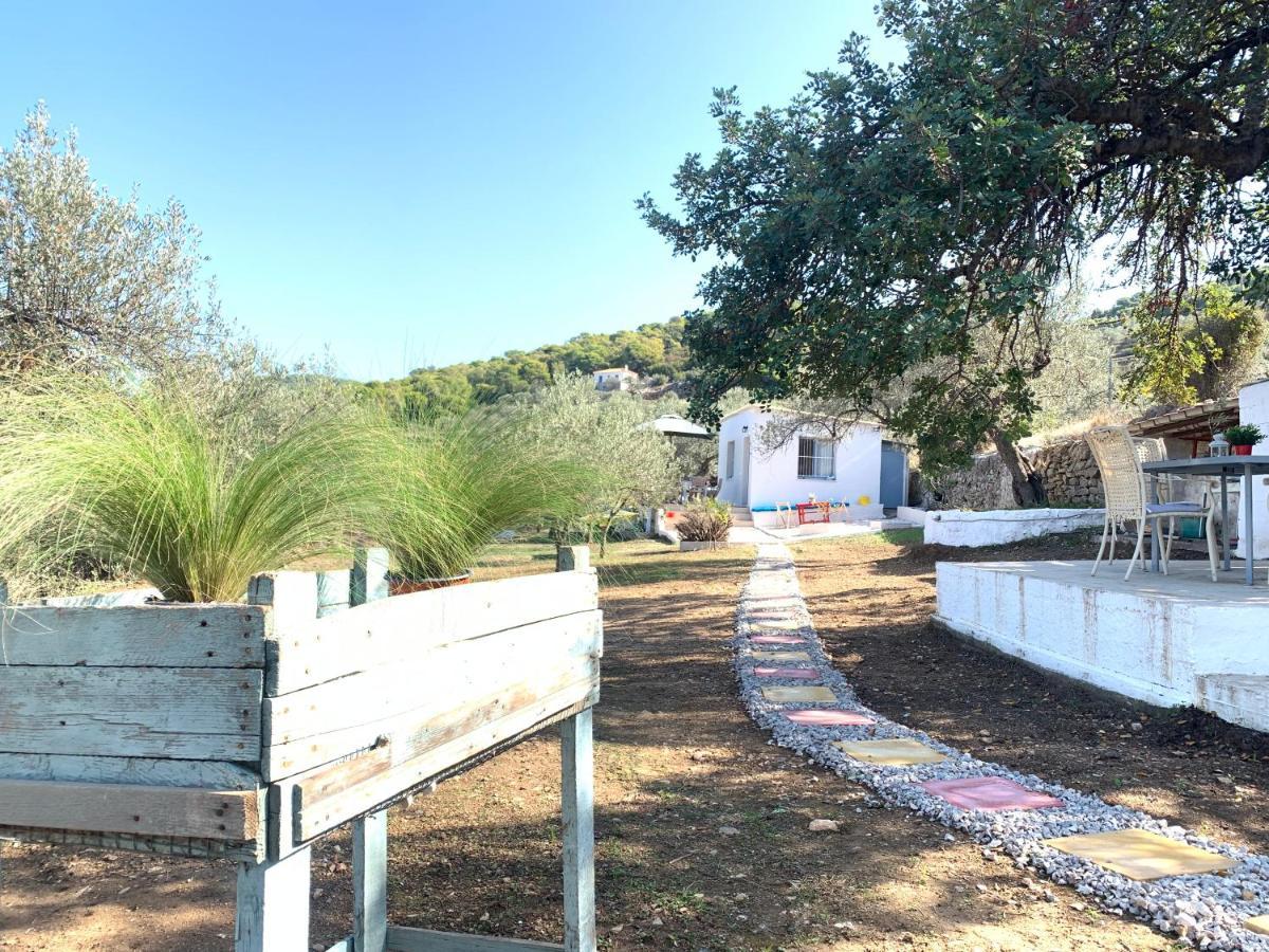 Olive Hill Private House Villa Poros Town Eksteriør bilde