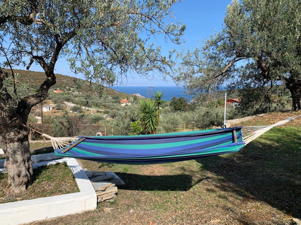 Olive Hill Private House Villa Poros Town Eksteriør bilde